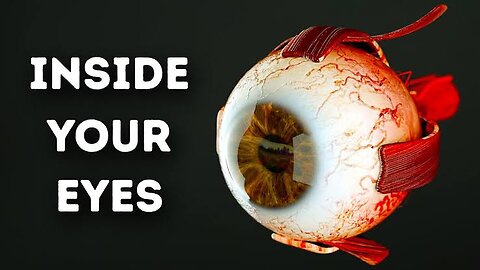 What Happens Inside Your Eyes || Please see this short video