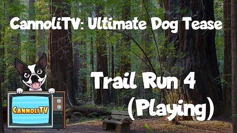 CannoliTV Video Library: Relaxing and Calming Dogs Trail Run - 04 #dogtricks #tvfordogs #dogtips