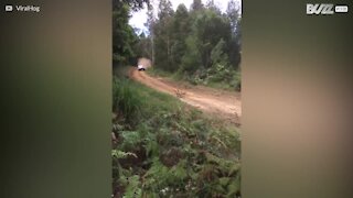 Incidente epico durante il rally