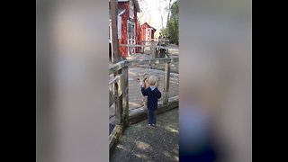 Toddler vs Goat: Who Will Win?