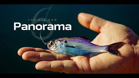 The ALL-NEW Panorama is FINALLY Here