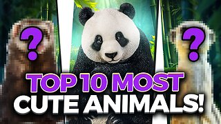 Top 10 most Cute Animals! You know this FUNNY facts about them? #animals #cute #poppy #pets #top10