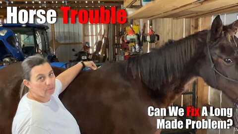Horse TROUBLE | Big Family Homestead | Equine Basics
