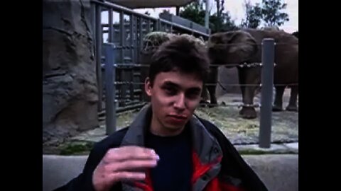 Me at the zoo Video legenda youtube #MHTV