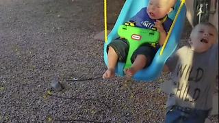 Boy VS Swing: Watch Where You're Going!