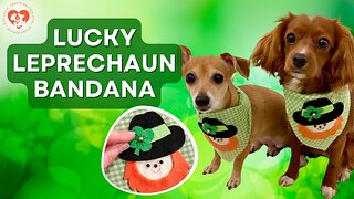 DIY Lucky Leprechaun Dog Bandana