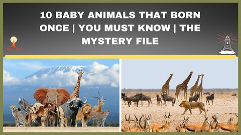 10 BABY ANIMALS THAT BORN ONCE | YOU MUST KNOW | THE MYSTERY FILE