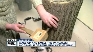 Learn WNY's history of maple syrup at BNHV