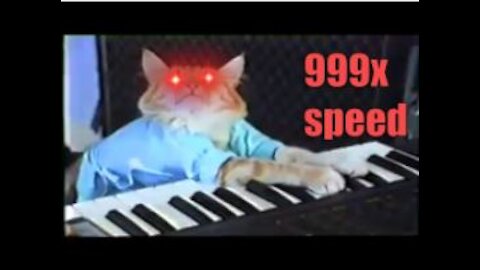 999X SPEED CAT play keyboard