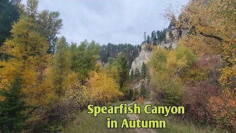 Spearfish Canyon in Autumn and an Evening at Camp