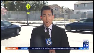 Reporter's Story On Dangerous L.A Street Interrupted By Hit and Run