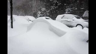 Snowstorm buries cars in Canada's Newfoundland