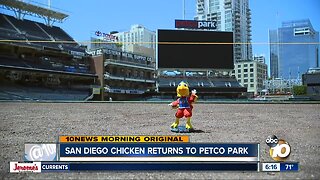 San Diego Chicken returns to Petco Park Saturday night