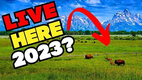 Top 10 BEST STATES To Live In The US 2023 - SHOCKING #1