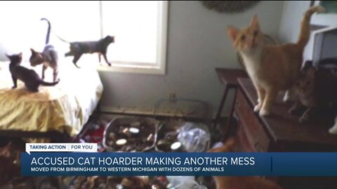 Accused cat hoarder making another mess after moving from Birmingham to western Michigan with dozens of animals