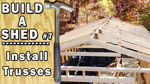 Build a Shed - Install Shed Top Plate and Trusses - Video 7/17