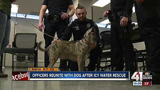 Pet owner thanks officers who saved her dog from icy water