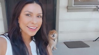 Dog Poses For Photo Not Knowing It's A Video