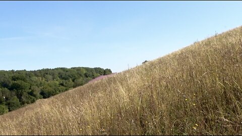 Walking The Hill Of DOOM