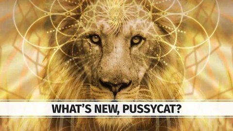 What's new, Pussycat?