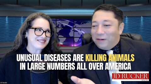 Unusual Diseases Are Killing Animals in Large Numbers All Over America