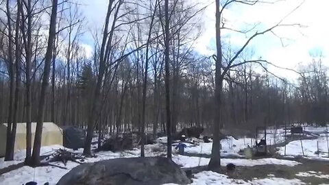 Devastating Wind Flattens Meadow & Foraging For Edibles Under Snow