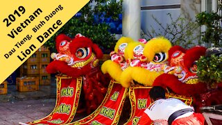 Vietnam: Dau Tieng, Binh Duong Lion Dance