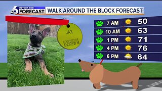 Walk around the block: Jax