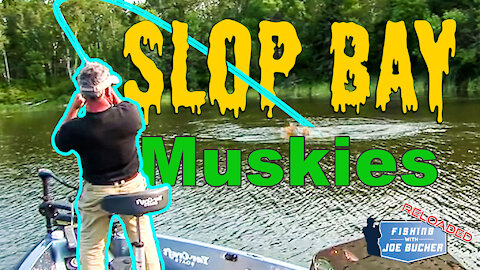 Slop Bay MUSKIES | Spence Petros | Fishing With Joe Bucher RELOADED