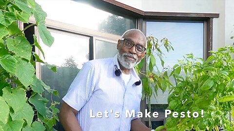 Let's Make Pesto! 😋🤩🐶👍🏾