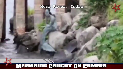 Mermaids Caught On Camera!