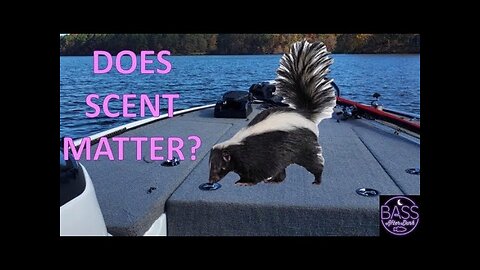 Does scent matter?