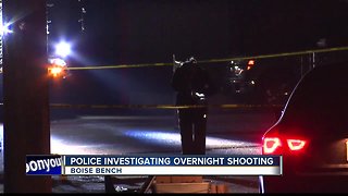 Three hurt in overnight shooting