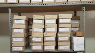 SOUTH AFRICA - Cape Town - Boxes of ashes at Salt River Forensic Pathology Services (Video) (wm4)