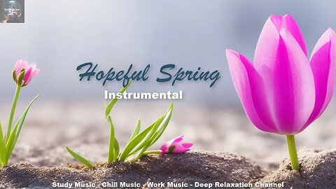 Hopeful Spring 🌸 Instrumental 🌸 Study Music 🌸 Deep Relaxation Channel