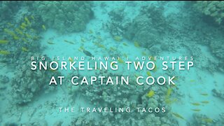 Snorkeling Two Step / Honaunau Bay - The Traveling Tacos - Captain Cook, Big Island, Hawai'i