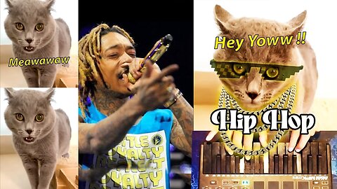 Hey Yow ! Walalwala - Cat Rapper (Original Song)