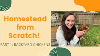 BACKYARD CHICKENS | Homestead from Scratch