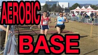 Why Aerobic Base for Runners Matters for Running Success