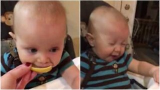 Baby tries lemon for the first time