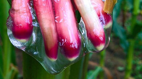 This Slime Could Change The World