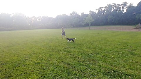 Puppy plays with his boy!