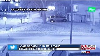 Series of car break-ins trouble Bellevue neighborhood