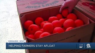 Palm Beach County farmers selling $10 produce boxes