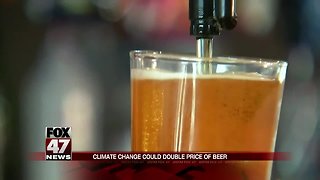 Climate change's next victim? Beer, study says