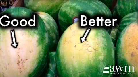 Farmer Shares Tips To Pick The Perfect Watermelon From The Supermarket Every Single Time