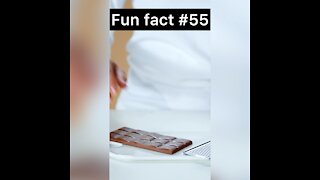 World’s biggest chocolate bar?