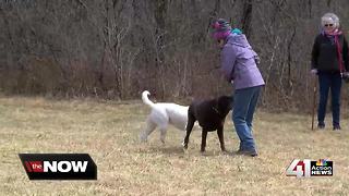 Suspicious men reported at Shawnee dog park