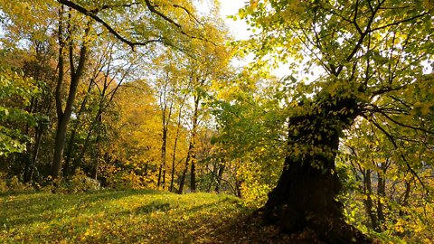 Skåne Bastion Park in Autumn