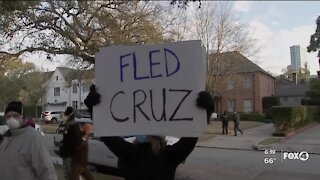 Protestors gather at Senator Cruz's home